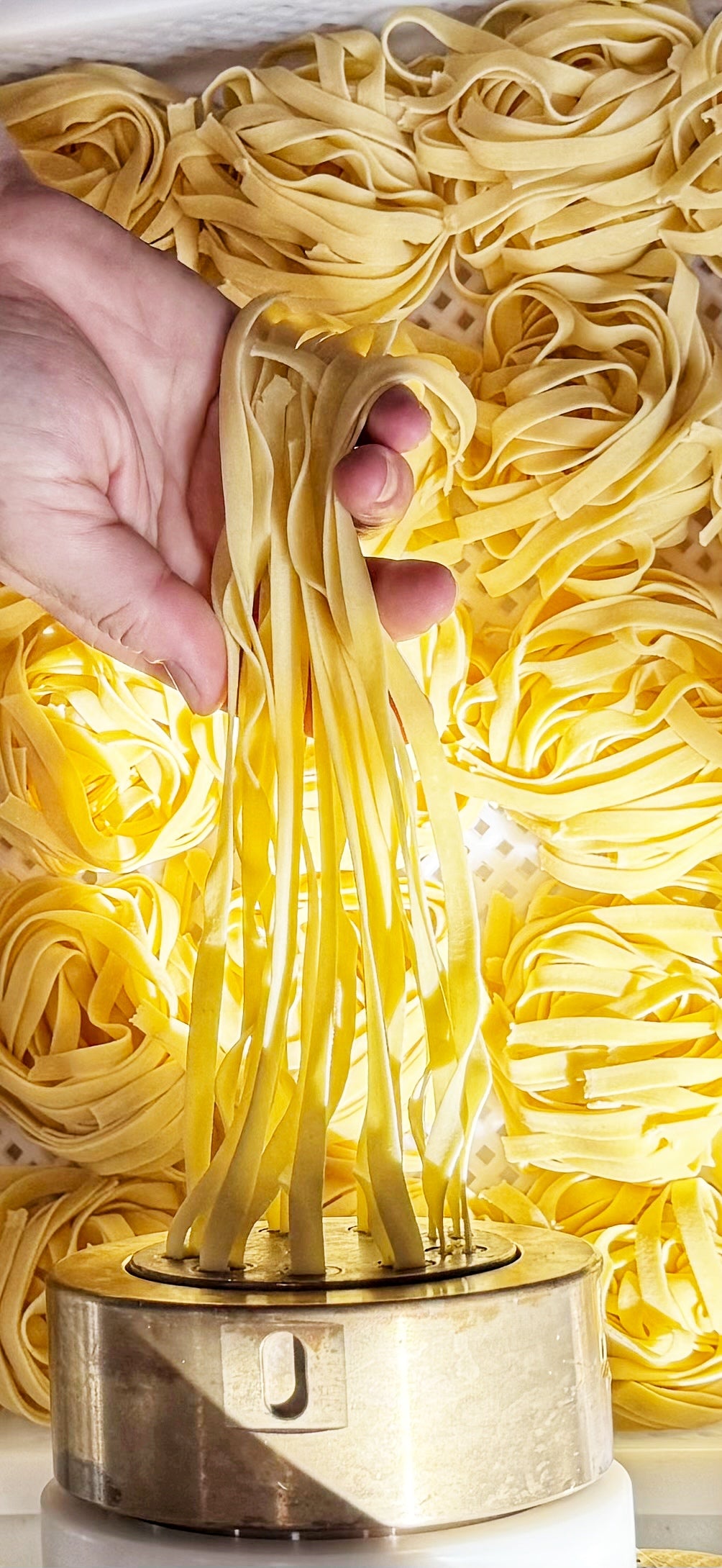 Fettuccine